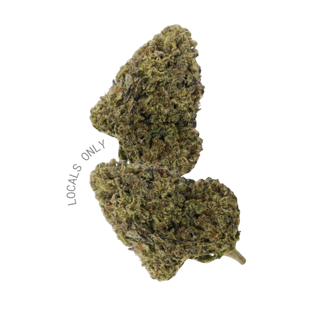 JEALOUSY [Hybrid, ~ 24% THC]