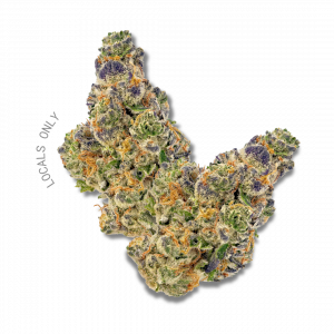 LEMONATTI [Hybrid, ~ 27% THC]