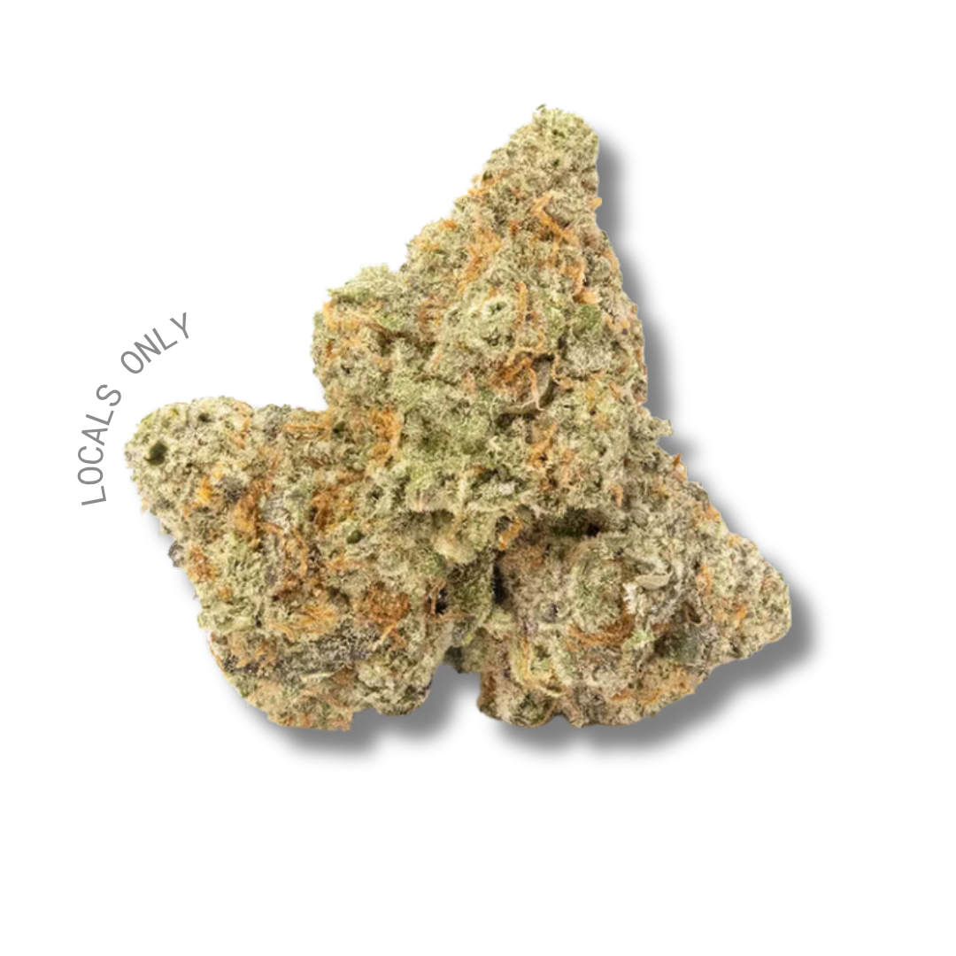 GORILLA GLUE #4 [Hybrid, ~ 30% THC]