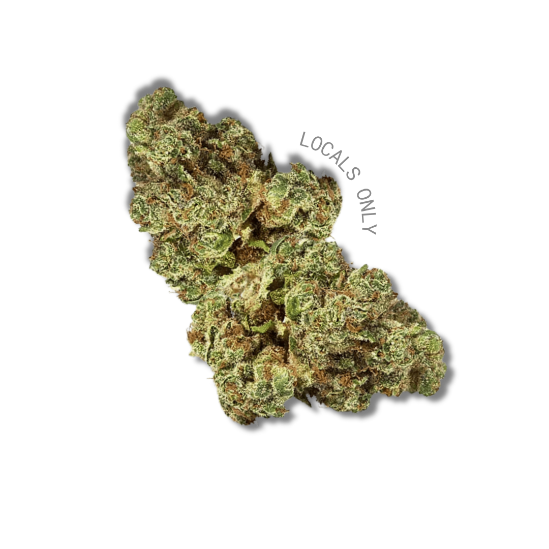 SFV OG [Indica-Hybrid, ~ 23% THC]