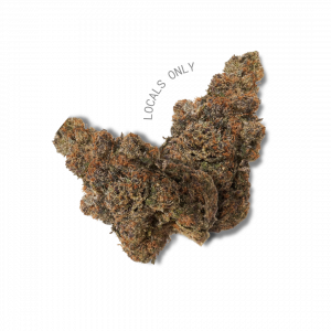 GARY PAYTON [Hybrid, ~ 24% THC]