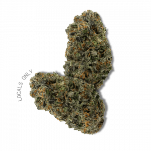 CHOCOLATE DIESEL [Sativa-Hybrid, ~ 24% THC]