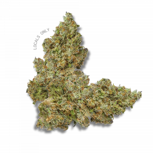 NORTHERN LIGHTS [Indica-Hybrid, ~ 32% THC]