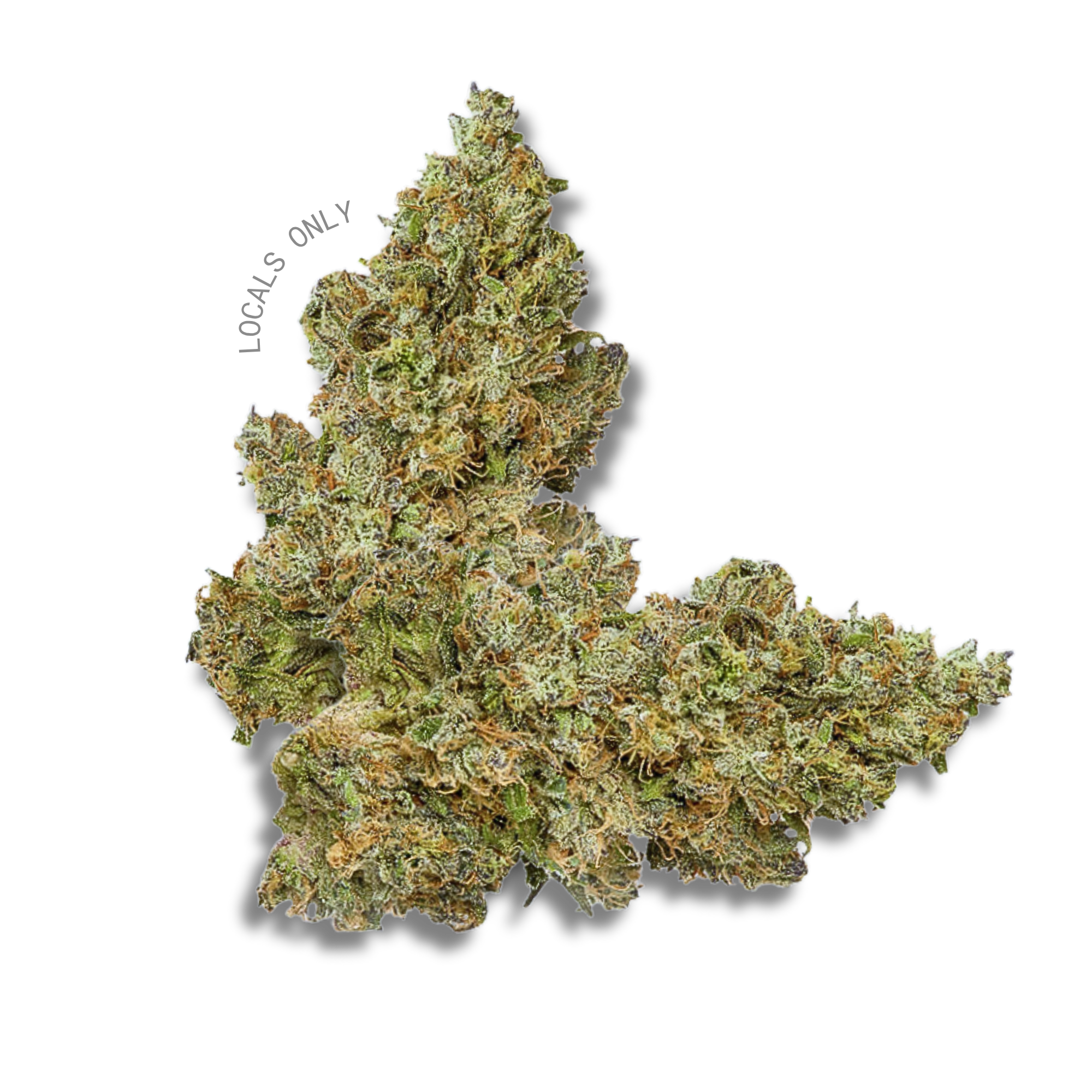 NORTHERN LIGHTS [Indica-Hybrid, ~ 32% THC]