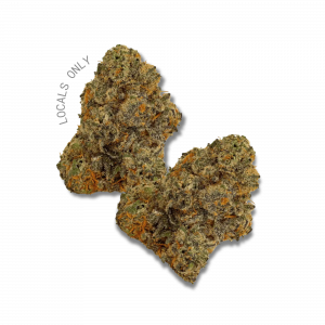 PERMANENT MARKER  [Indica-Hybrid, ~ 35% THC]