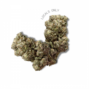 KUSH MINTZ [Hybrid, ~ 24% THC]