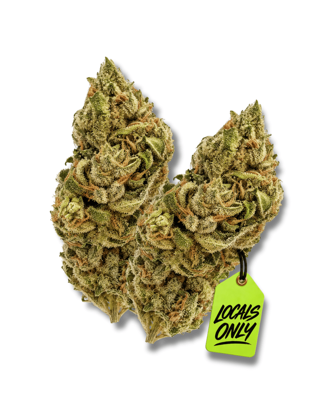GUMBO [Indica-Hybrid, ~ 24% THC]