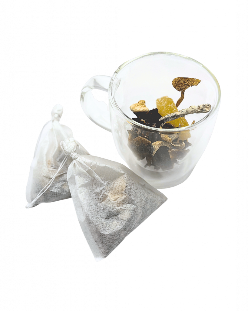 MUSHROOM TEA BAGS, ORANGE HIBISCUS