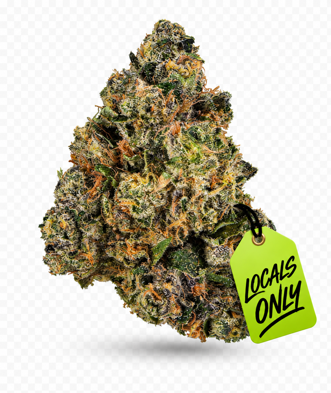 SHERBANGER #22 [Hybrid, ~ 34% THC]