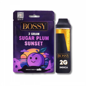 BOSSY 2G DISPOSABLE PEN