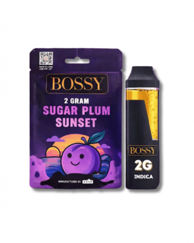 BOSSY 2G DISPOSABLE PEN
