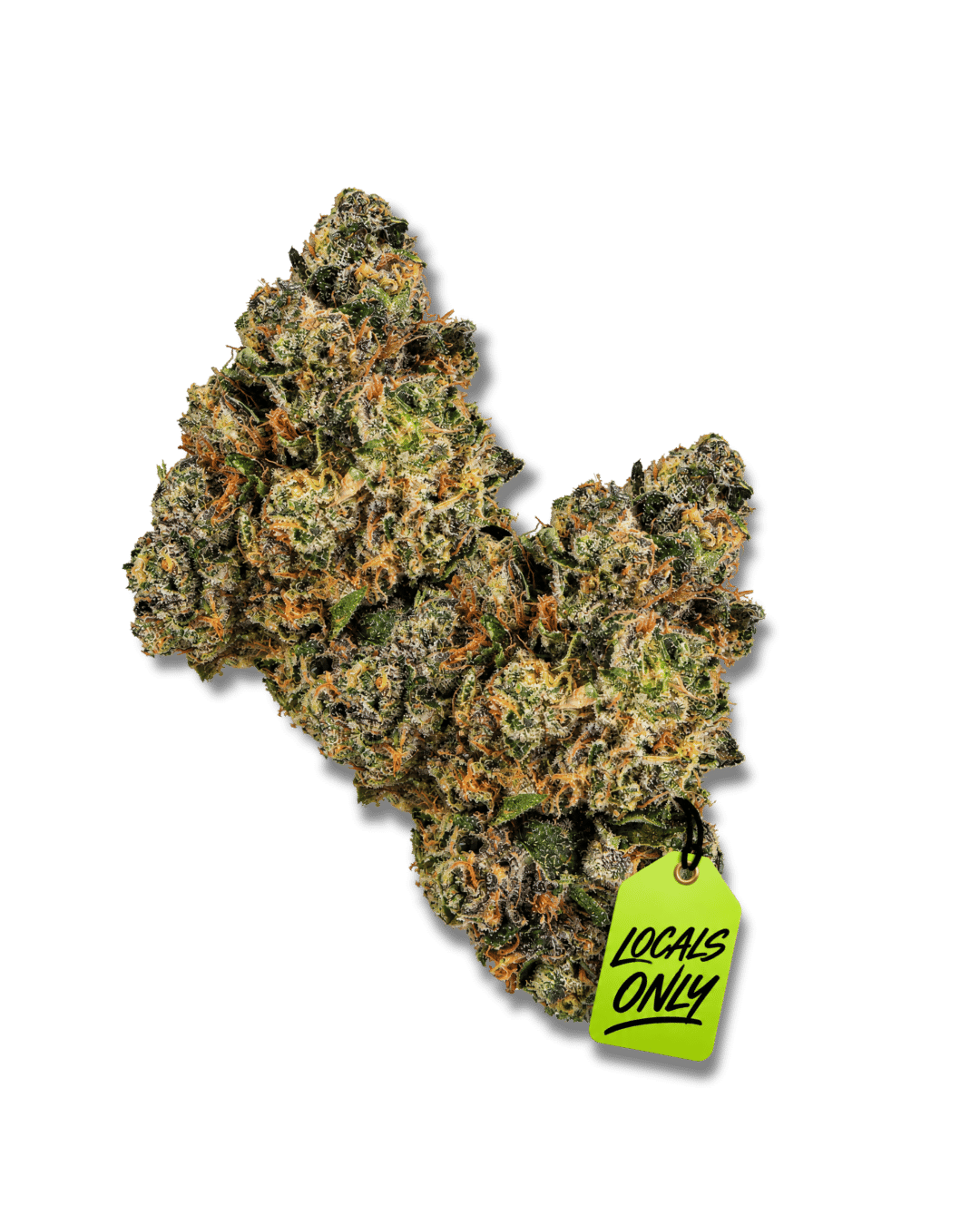 SHERBANGER #22 [Hybrid, ~ 34% THC]
