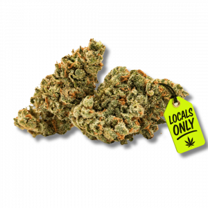 CHIMERA OG  [Hybrid, ~ 25% THC]