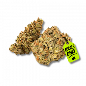 PLATINUM COOKIES [Hybrid, ~ 25% THC]