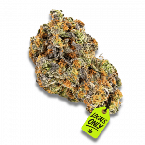 SCARY PAYTON [Indica-Hybrid, ~ 35% THC]