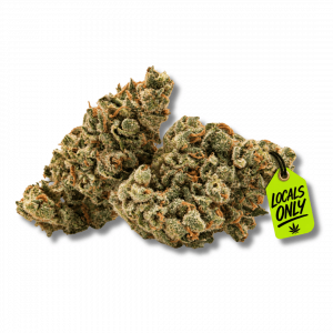 GELATO #80 [Hybrid, ~ 24.89% THC]
