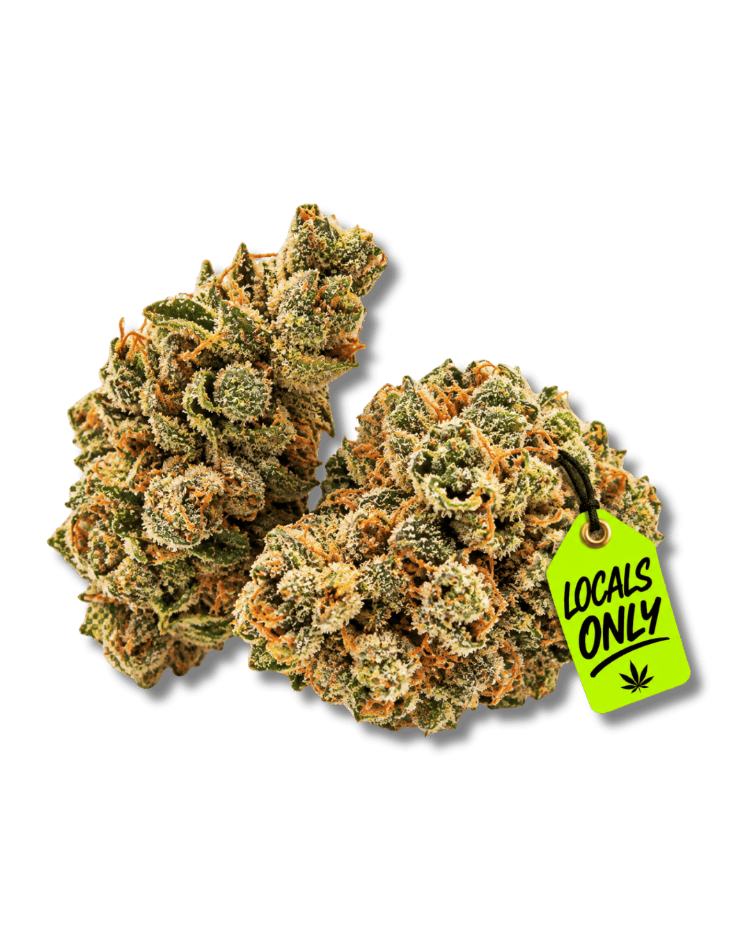 MEMORY LOSS [Indica-Hybrid, ~ 32% THC]