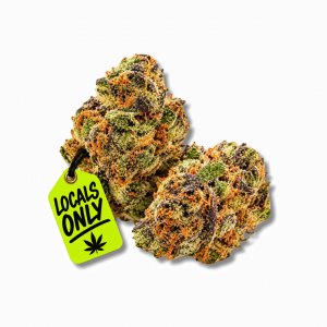 DOSI MAC [HYBRID, ~ 27% THC]