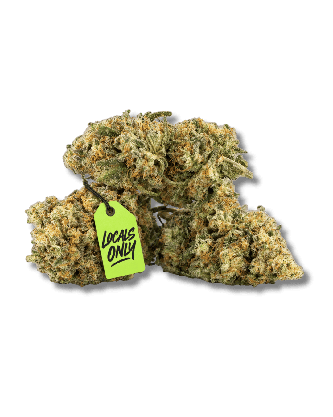 CHERRY BOMB  [Hybrid, ~ 24% THC]